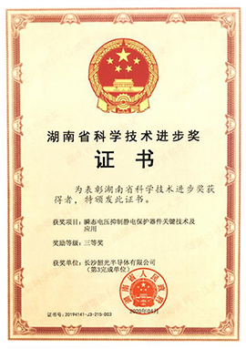 湖南省科學(xué)技術(shù)進(jìn)步獎(jiǎng)-三等獎(jiǎng)0.jpg